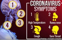 What is Coronavirus Disease  (COVID-19)-2020